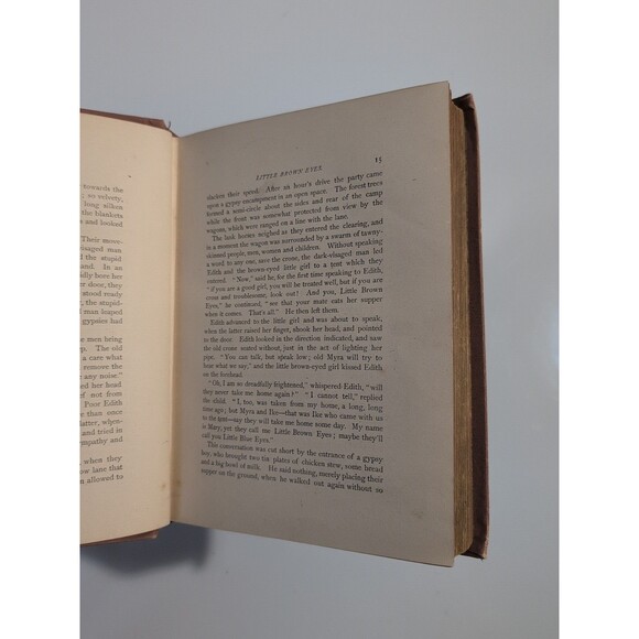 The Speaker’s Ideal Entertainment – 1892 Vickers & Peirce HC - Picture 10 of 12